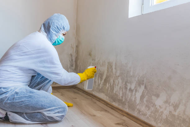 Mold Remediation specialist working in Great River
