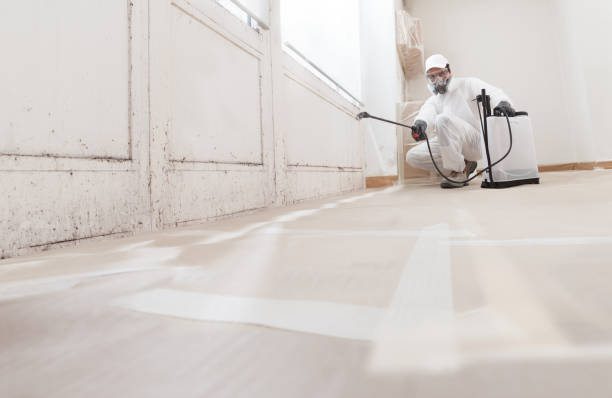 Black mold remediation team in Great River